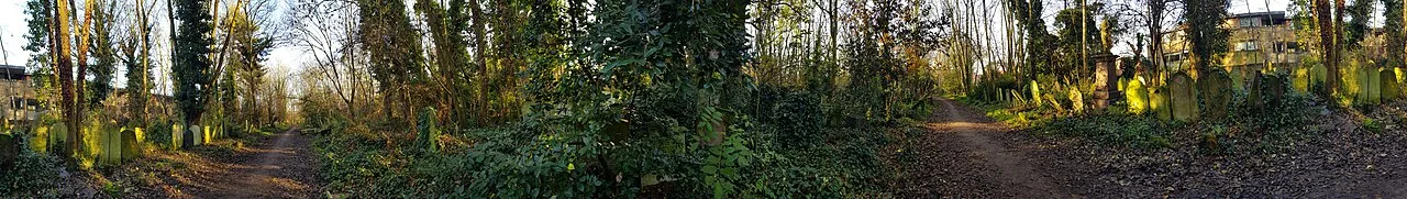 Abney Park Cemetery — photograph