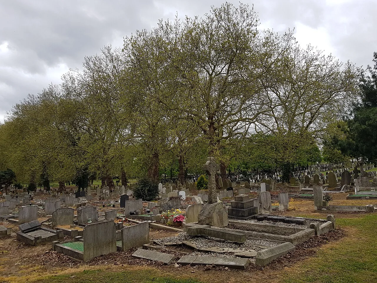 Chingford Mount Cemetery — photograph