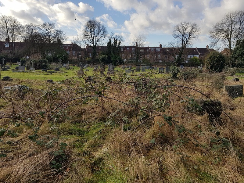 Harrow Cemetery London — photograph